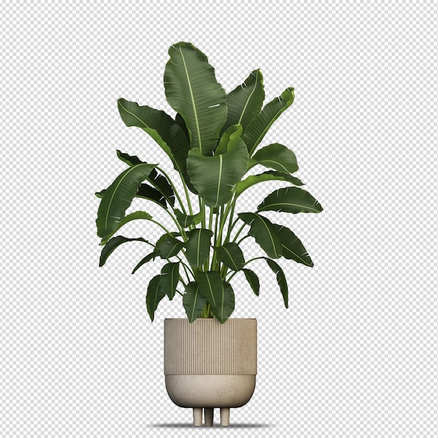 Pflanze im Topf in 3D-Rendering