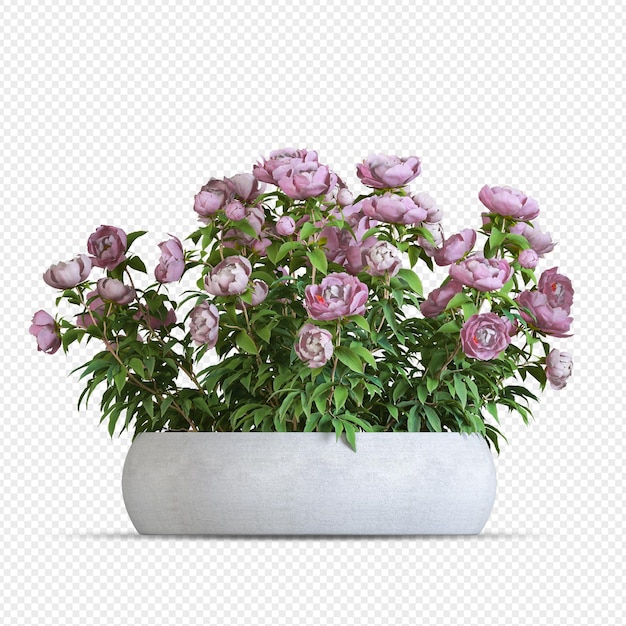 Pflanze im Topf in 3D-Rendering