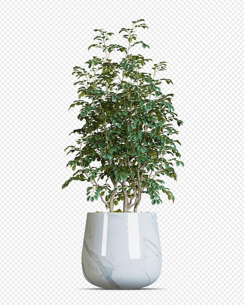 Pflanze im Topf in 3D-Rendering