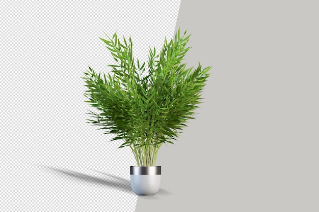 Pflanze in 3D-Rendering isoliert