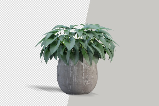 Pflanze in 3D-Rendering isoliert