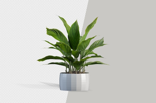 Pflanze in 3D-Rendering isoliert