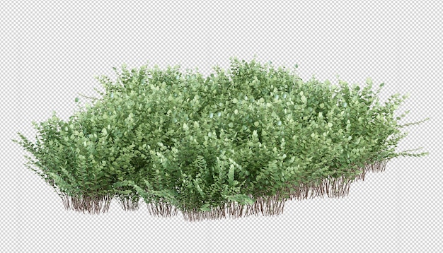 Pflanze in 3D-Rendering isoliert