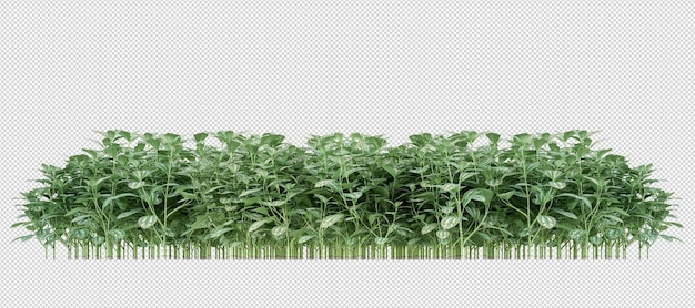 Pflanze in 3D-Rendering isoliert