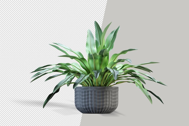 Pflanze in 3D-Rendering
