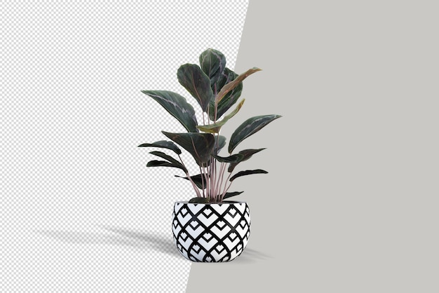 Pflanze in 3D-Rendering