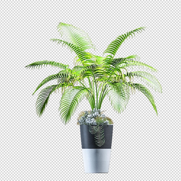 Pflanze in Vase in 3D-Rendering isoliert