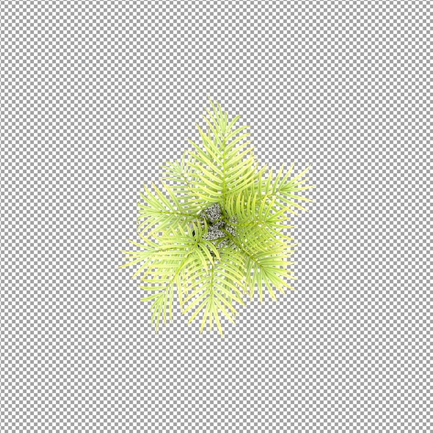 Pflanze isoliert in 3D-Rendering