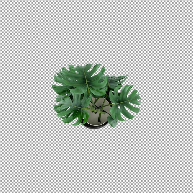 Pflanze isoliert in 3D-Rendering
