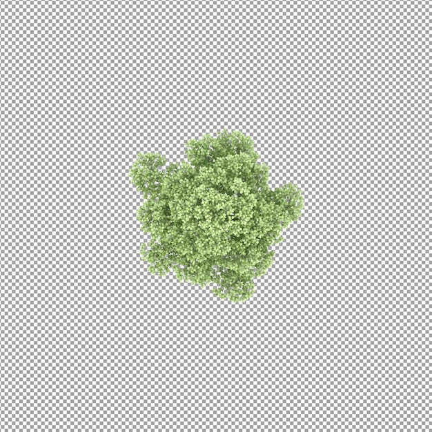 Pflanze isoliert in 3D-Rendering