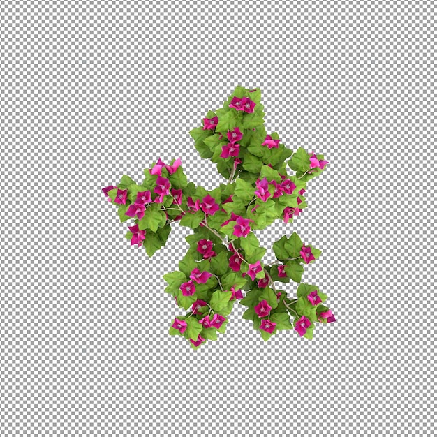 Pflanze isoliert in 3D-Rendering