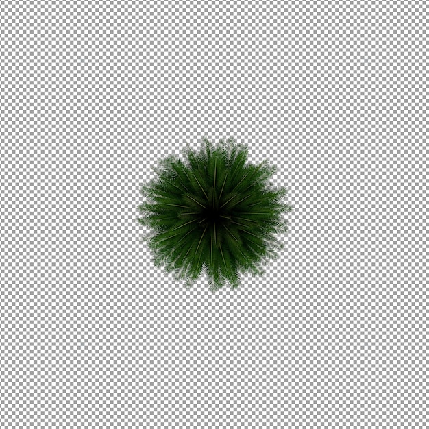 Pflanze isoliert in 3D-Rendering