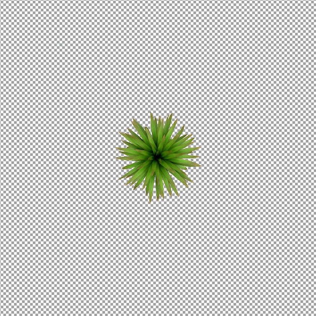 Pflanze isoliert in 3D-Rendering