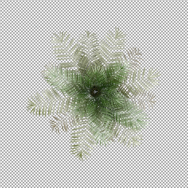 Pflanze isoliert in 3d-rendering
