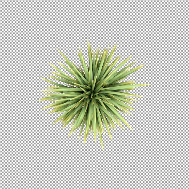 Pflanze isoliert in 3d-rendering