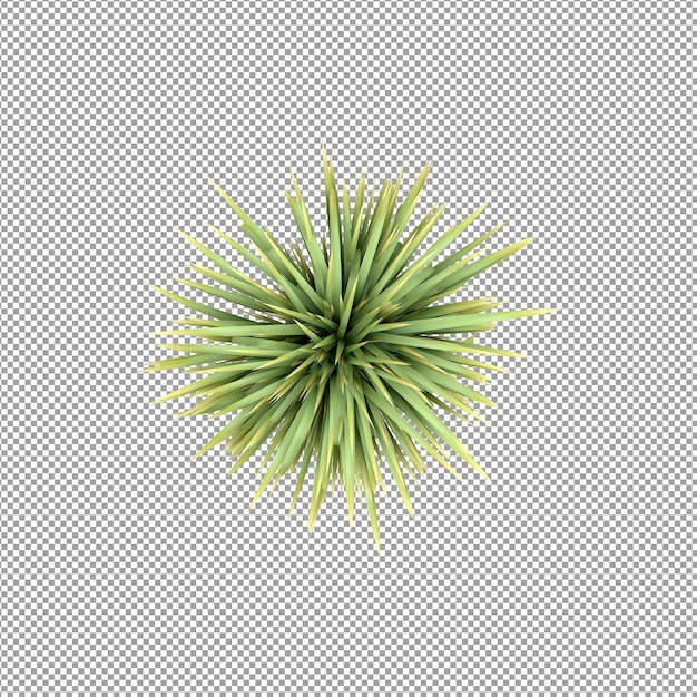 Pflanze isoliert in 3D-Rendering