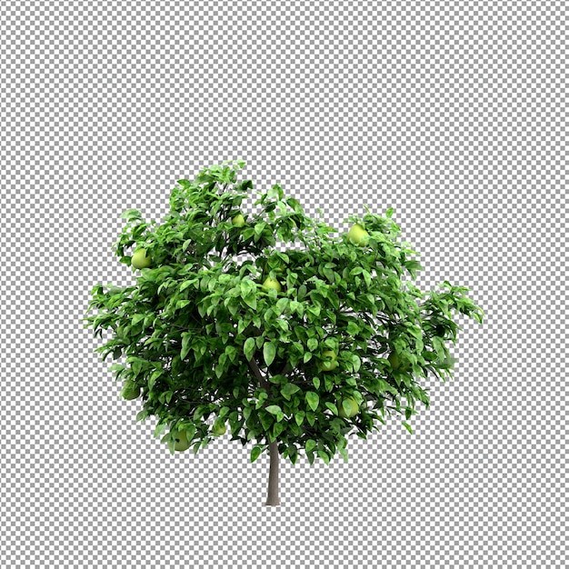 Pflanze isoliert in 3D-Rendering