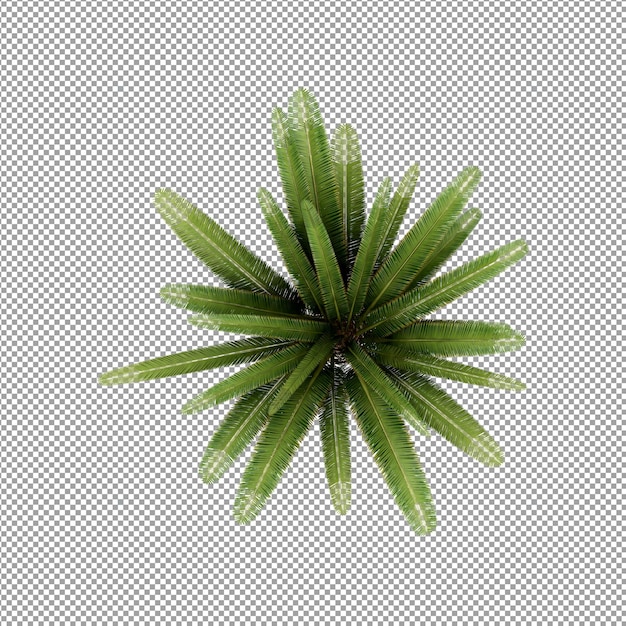 Pflanze isoliert in 3D-Rendering