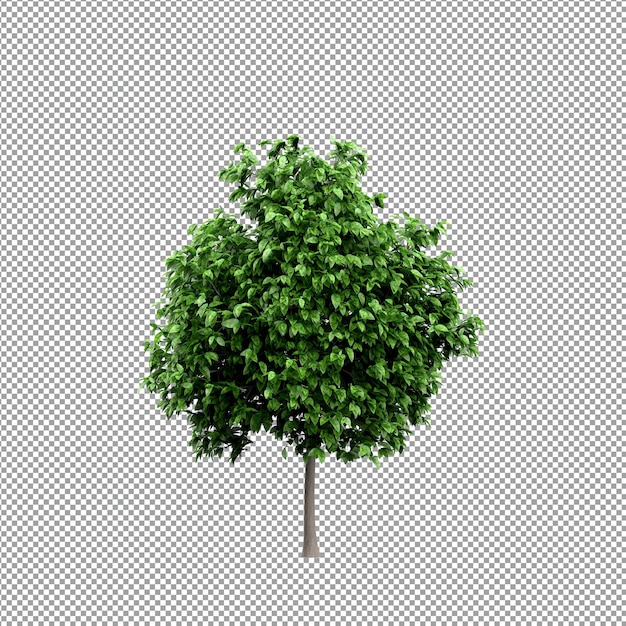Pflanze isoliert in 3D-Rendering