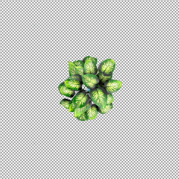 Pflanze isoliert in 3D-Rendering