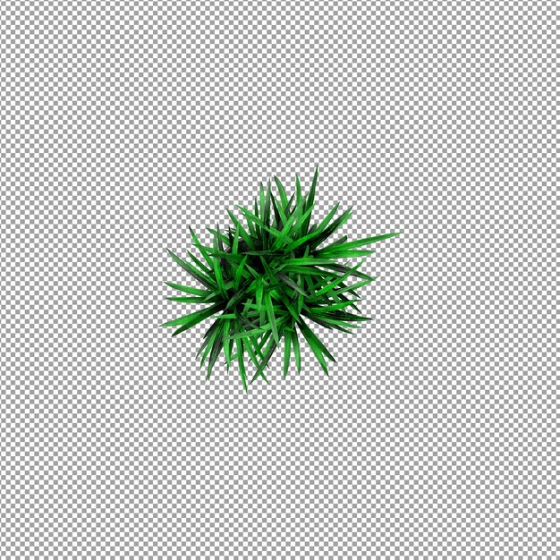 Pflanze isoliert in 3D-Rendering