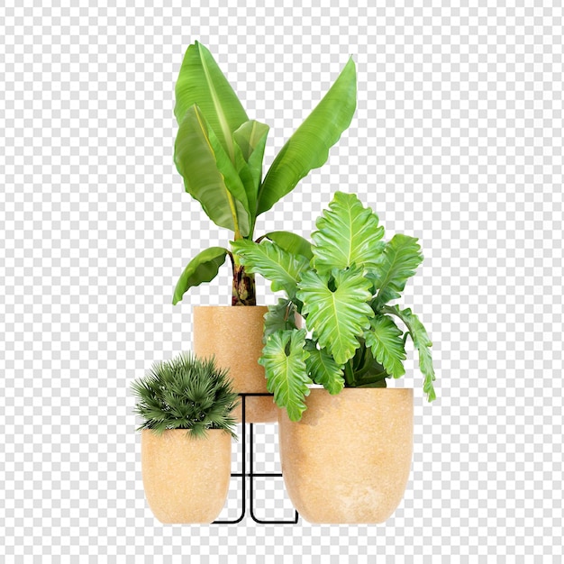 Pflanzen im Topf in 3D-Rendering