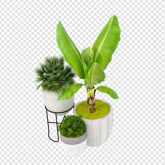 Pflanzen im Topf in 3D-Rendering