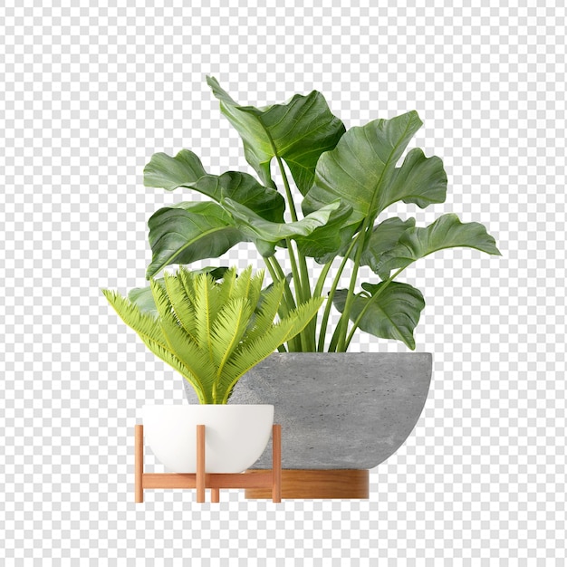 Pflanzen im Topf in 3D-Rendering