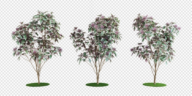 PSD pflanzen in 3d-rendering isoliert