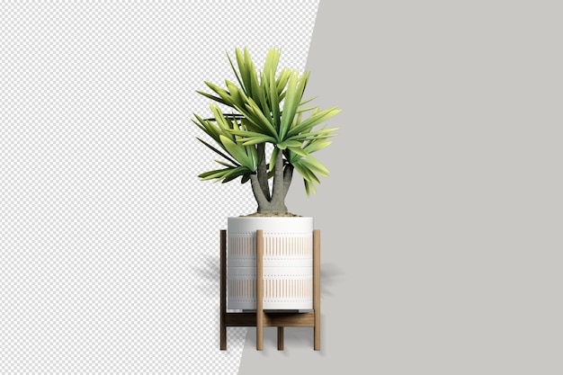Pflanzen in Töpfen in 3D isoliert gerendert