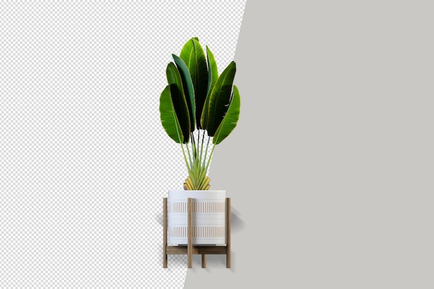 Pflanzen in Töpfen in 3D isoliert gerendert