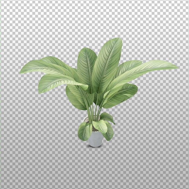 Pflanzen Sie 3D-Rendering