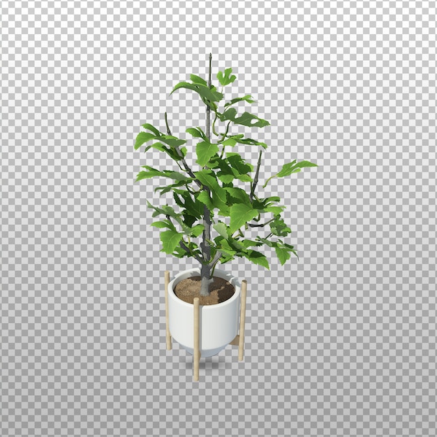 Pflanzen Sie 3D-Rendering