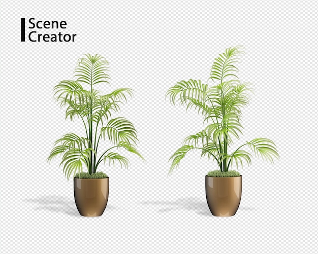 Pflanzen Sie 3D-Rendering