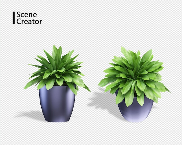 Pflanzen Sie 3D-Rendering