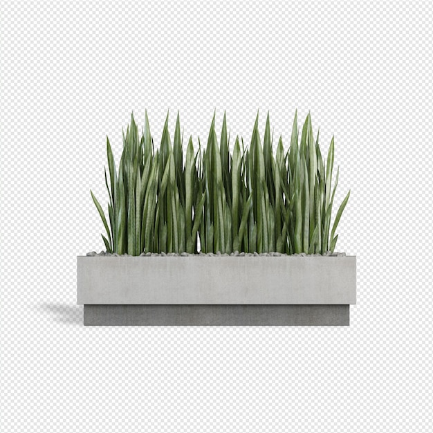 Pflanzen Sie 3D-Rendering