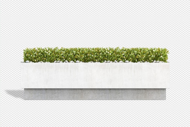Pflanzen Sie 3D-Rendering