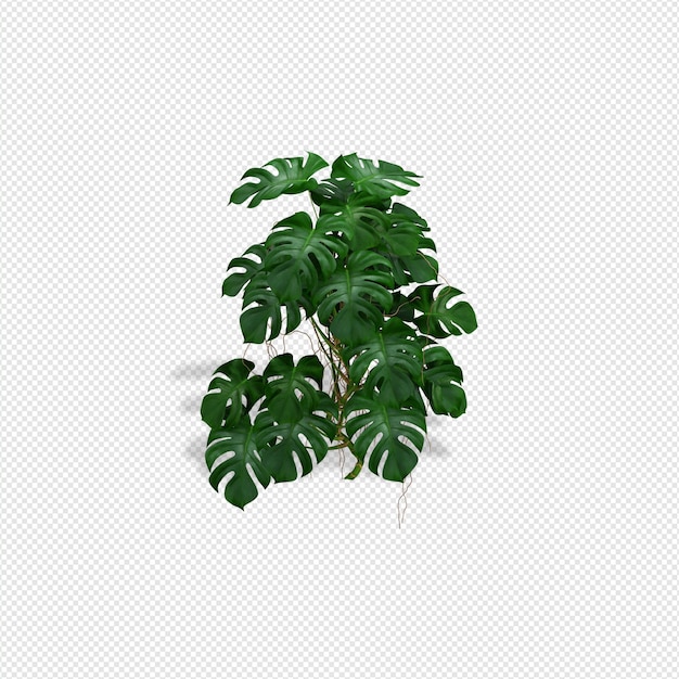 Pflanzen Sie 3D-Rendering