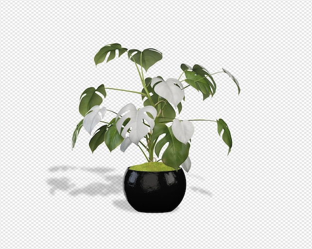 Pflanzen Sie 3D-Rendering
