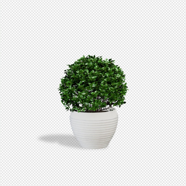 Pflanzen Sie 3D-Rendering