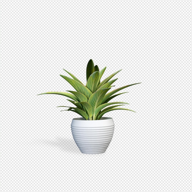 Pflanzen Sie 3D-Rendering