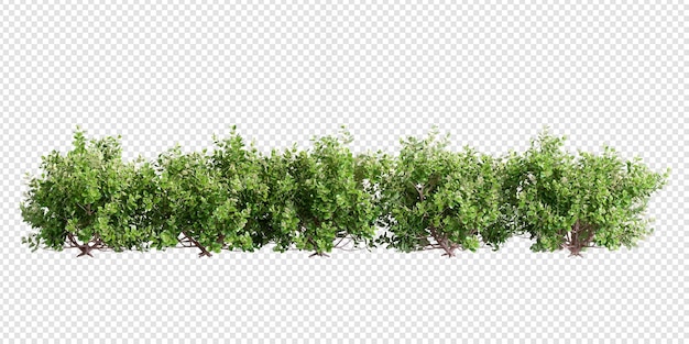 Pflanzen und Sträucher in 3D-Rendering isoliert