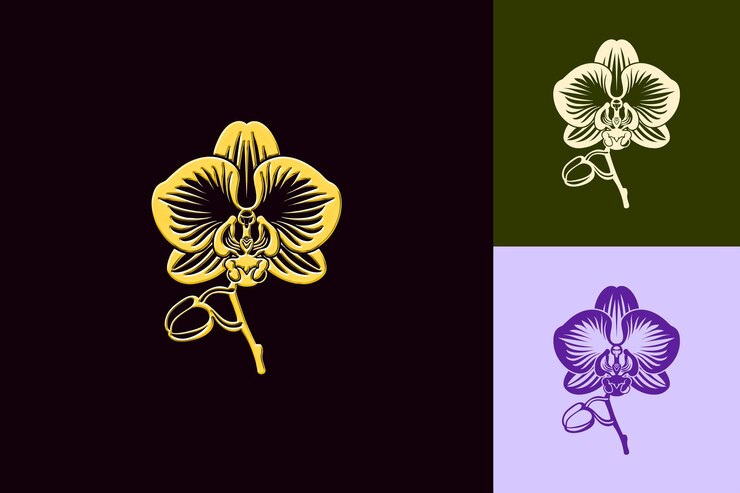 PSD phalaenopsis icono de la flor de la orquídea emblema de la flor con diseños vectoriales únicos inspirados en la naturaleza decorativa