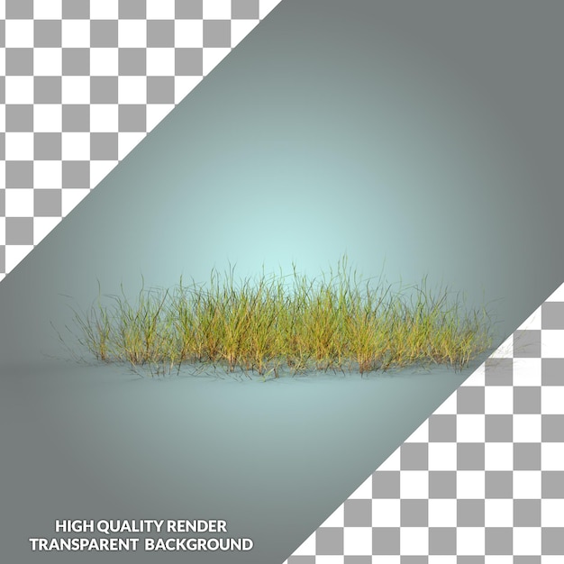 PSD une photo d'une herbe avec un fond transparent