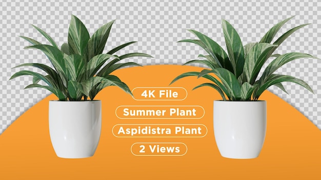 Une Photo D'une Plante Avec Les Mots Fichier 4k Et Plante D'été