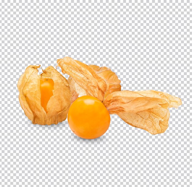 Physalis de grosella espinosa aislado PSD Premium