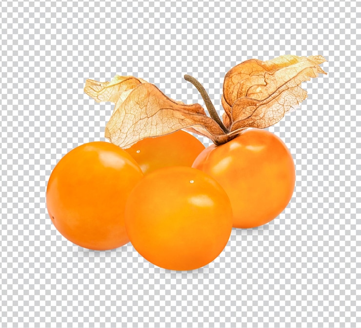 PSD physalis de grosella espinosa aislado psd premium