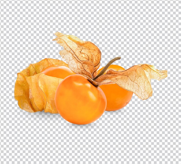 PSD physalis de grosella espinosa aislado psd premium