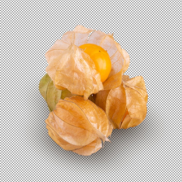 Physalis de uchuva aislado sobre fondo blanco