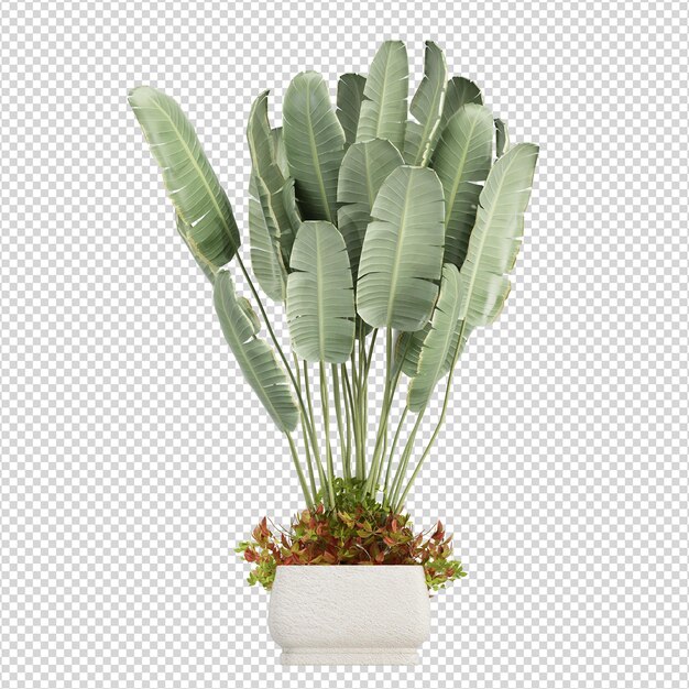pianta di banane in 3d rendering isolato